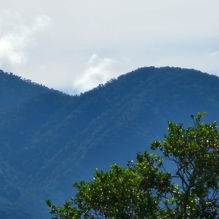 Hospedaje Finca Agroturistica Dona Rufa Rio Sereno Eksteriør billede