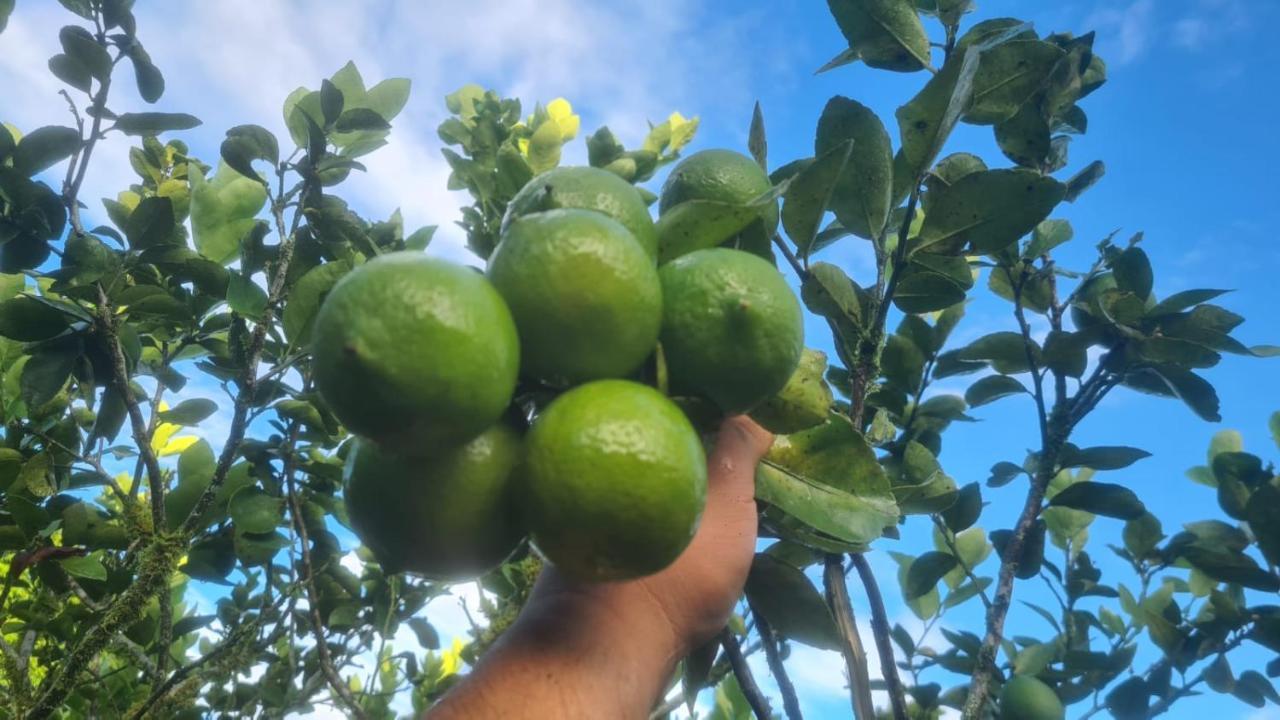 Hospedaje Finca Agroturistica Dona Rufa Rio Sereno Eksteriør billede