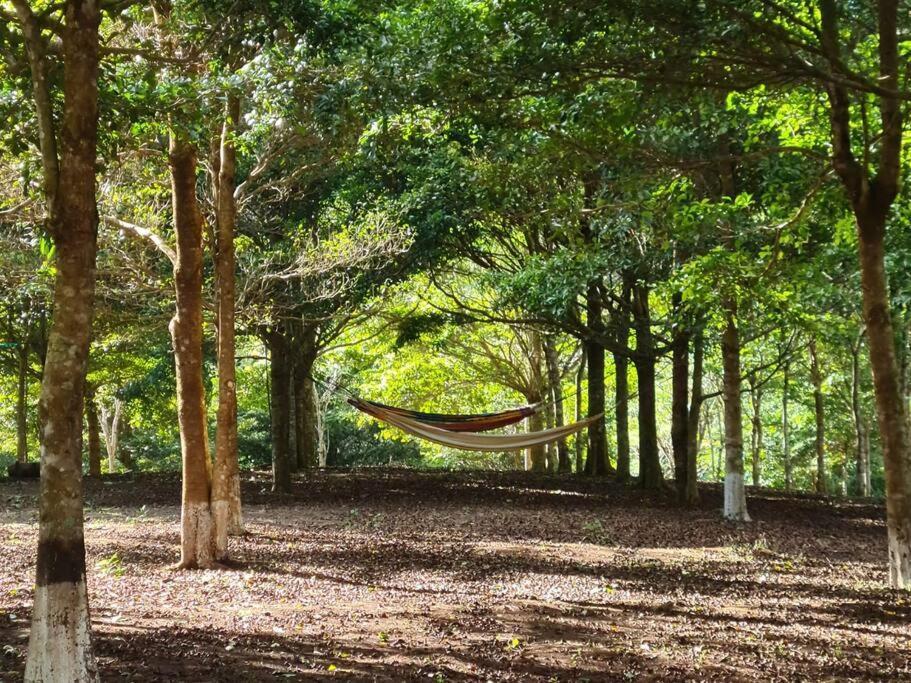 Hospedaje Finca Agroturistica Dona Rufa Rio Sereno Eksteriør billede