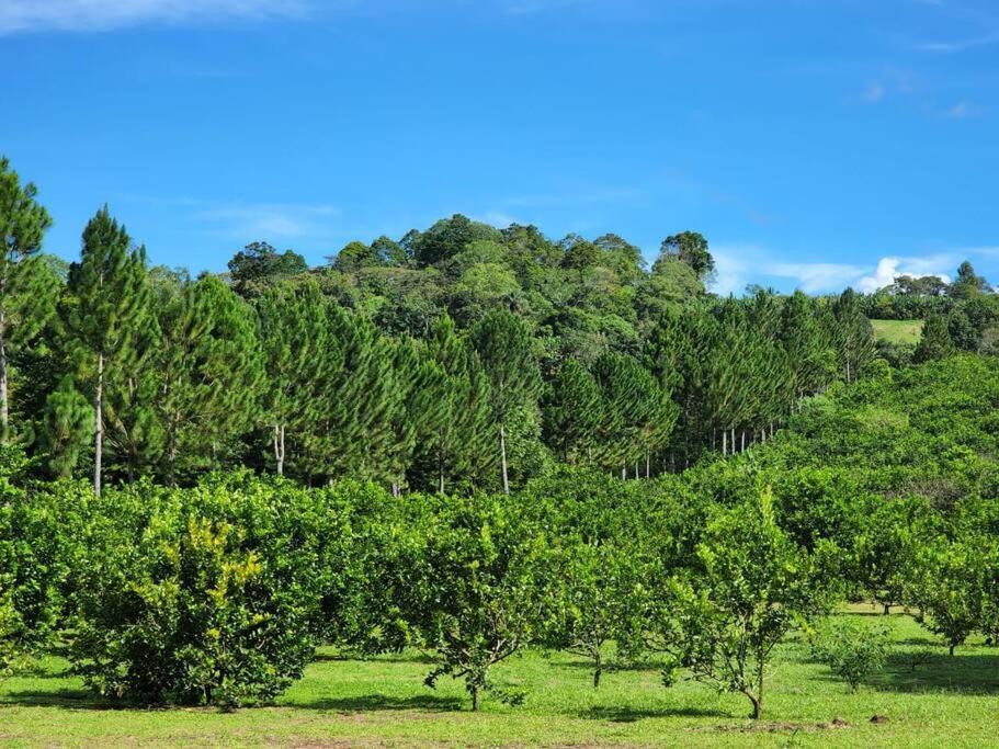 Hospedaje Finca Agroturistica Dona Rufa Rio Sereno Eksteriør billede
