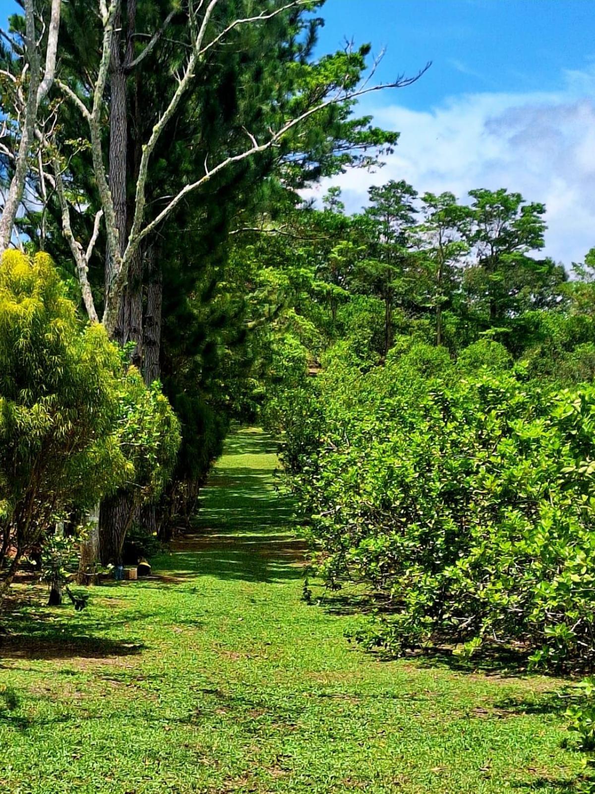 Hospedaje Finca Agroturistica Dona Rufa Rio Sereno Værelse billede